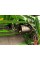 Комбайн John Deere - S790i, 2020 (+ жниварка, візок)