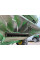 Комбайн John Deere - S770, 2020
