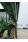 Обприскувач John Deere - R4038, 2014